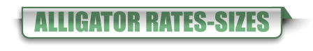 ALLIGATOR RATES-SIZES