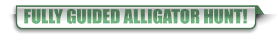 FULLY GUIDED ALLIGATOR HUNT!